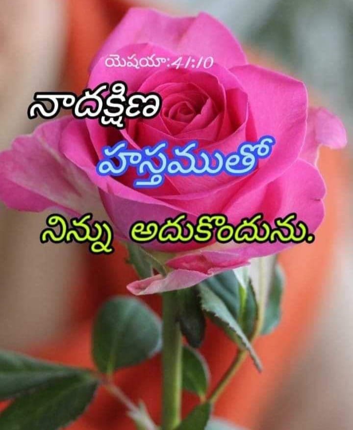 10 Bible Quotes in Telugu - Telugu Wishes Web Stories